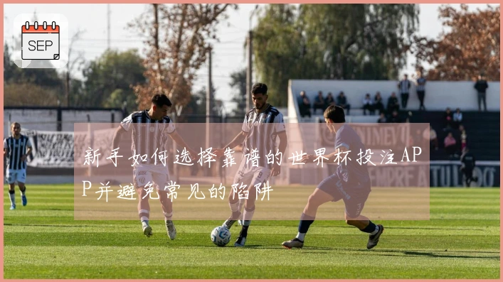 新手如何选择靠谱的世界杯投注APP并避免常见的陷阱