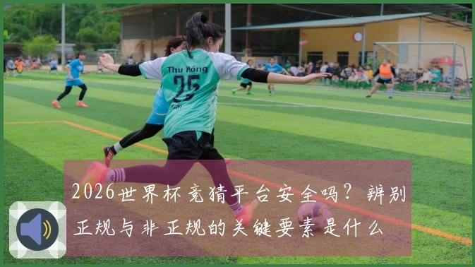2026世界杯竞猜平台安全吗？辨别正规与非正规的关键要素是什么