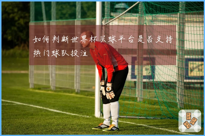 如何判断世界杯买球平台是否支持热门球队投注