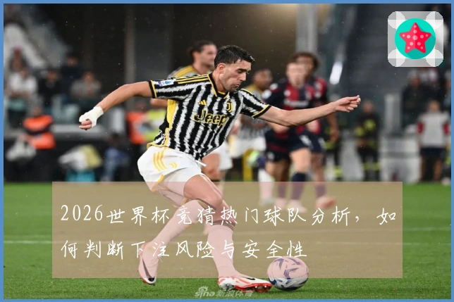 2026世界杯竞猜热门球队分析,如何判断下注风险与安全性
