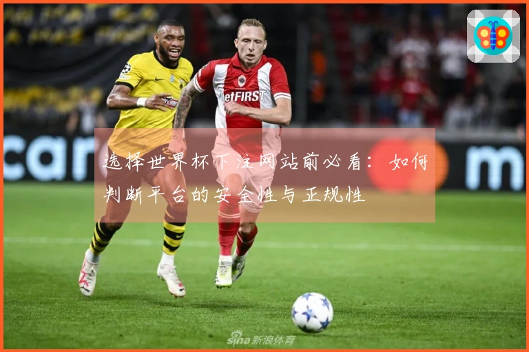 选择世界杯下注网站前必看：如何判断平台的安全性与正规性