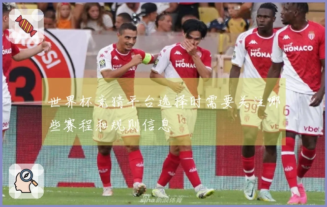世界杯竞猜平台选择时需要关注哪些赛程和规则信息