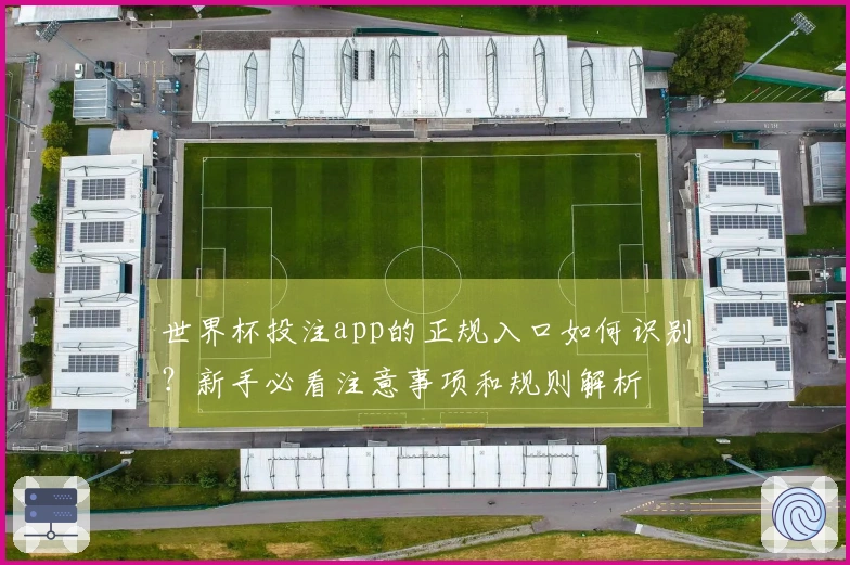 世界杯投注app的正规入口如何识别？新手必看注意事项和规则解析