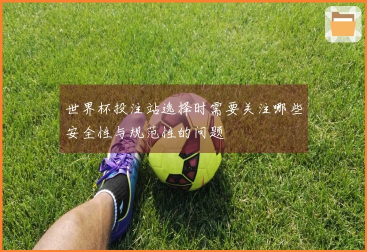 世界杯投注站选择时需要关注哪些安全性与规范性的问题