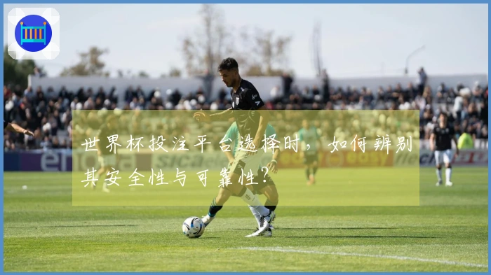 世界杯投注平台选择时，如何辨别其安全性与可靠性？