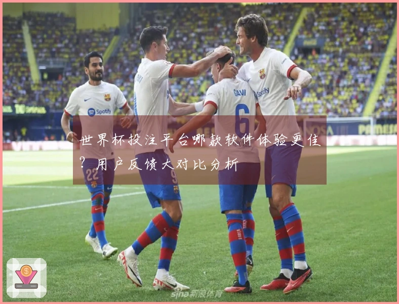 世界杯投注平台哪款软件体验更佳?用户反馈大对比分析