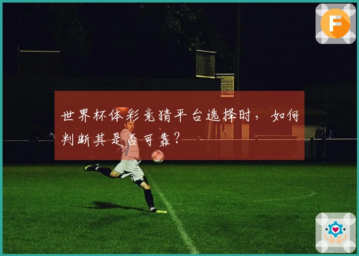 世界杯体彩竞猜平台选择时，如何判断其是否可靠？