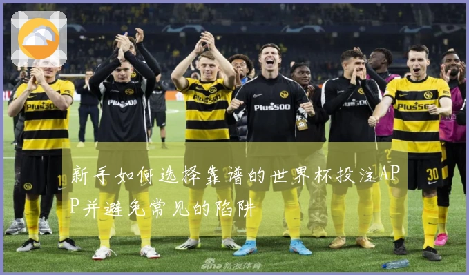 新手如何选择靠谱的世界杯投注APP并避免常见的陷阱