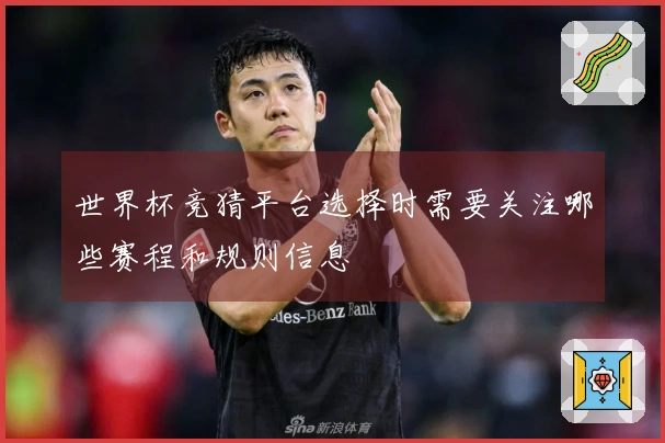 世界杯竞猜平台选择时需要关注哪些赛程和规则信息