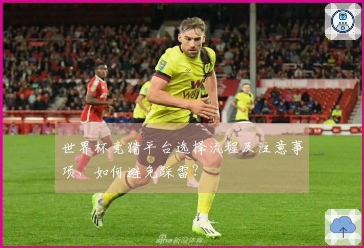 世界杯竞猜平台选择流程及注意事项，如何避免踩雷？