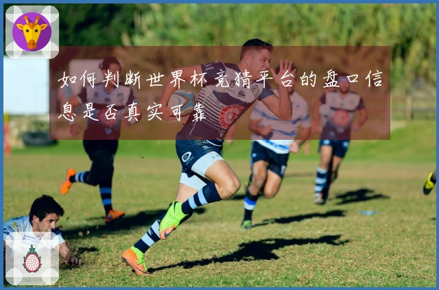 如何判断世界杯竞猜平台的盘口信息是否真实可靠