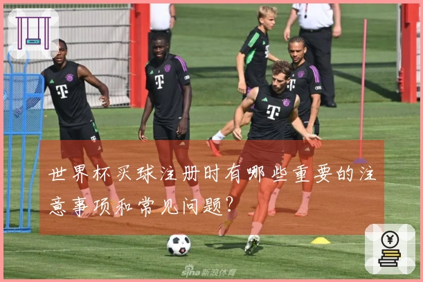 世界杯买球注册时有哪些重要的注意事项和常见问题？