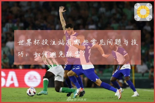 世界杯投注站有哪些常见问题与技巧，如何避免踩雷？