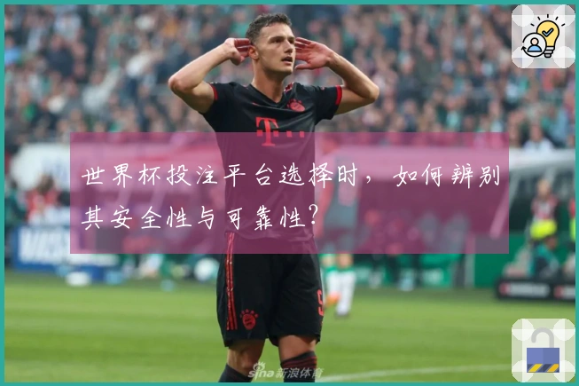 世界杯投注平台选择时,如何辨别其安全性与可靠性?