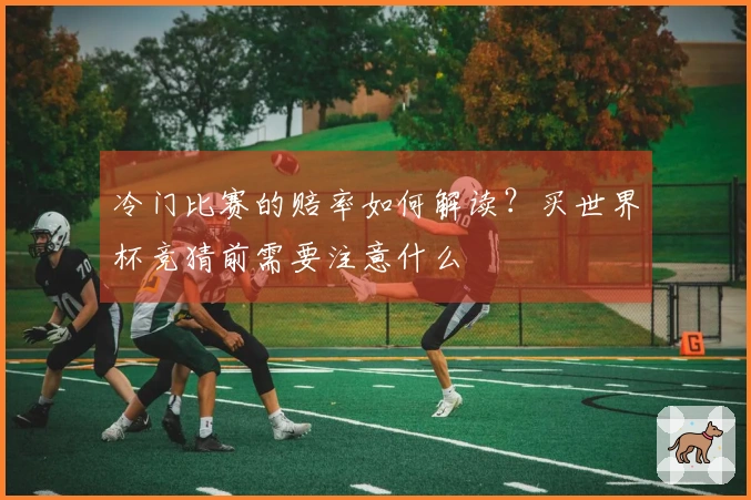冷门比赛的赔率如何解读？买世界杯竞猜前需要注意什么