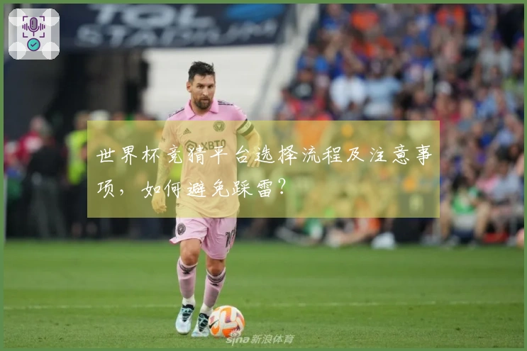 世界杯竞猜平台选择流程及注意事项，如何避免踩雷？