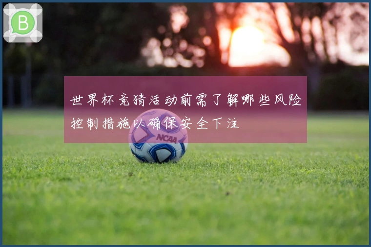 世界杯竞猜活动前需了解哪些风险控制措施以确保安全下注