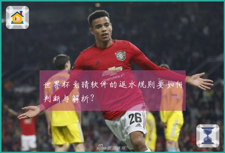 世界杯竞猜软件的返水规则要如何判断与解析？