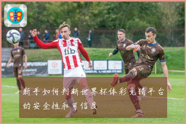 新手如何判断世界杯体彩竞猜平台的安全性和可信度